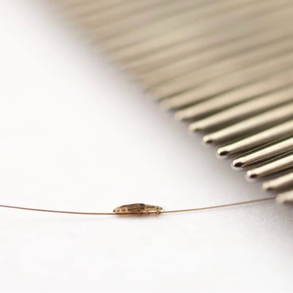 Nit Free Terminator Comb - Picture 8 of 8